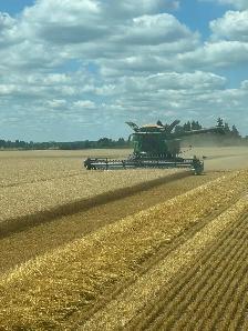 2026 Straw