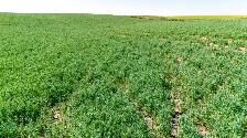 1,118.78 ISC Acres | RM of Sutton #103 | Near Coderre, SK - Photo 9