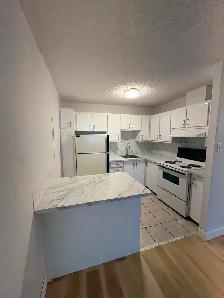 Laval 3 1/2 , Tout Inclus - Metro Monmorency - Photo 8