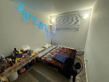 2Bed 1Bath Lower Duplex Suite For Rent In Talbot - Grey - Photo 7