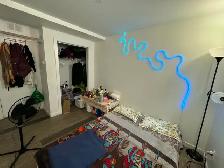 2Bed 1Bath Lower Duplex Suite For Rent In Talbot - Grey - Photo 9