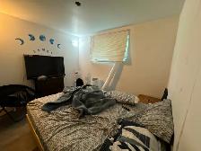 2Bed 1Bath Lower Duplex Suite For Rent In Talbot - Grey - Photo 11
