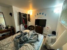 2Bed 1Bath Lower Duplex Suite For Rent In Talbot - Grey - Photo 12
