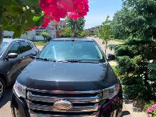 Ford Edge for Sale
