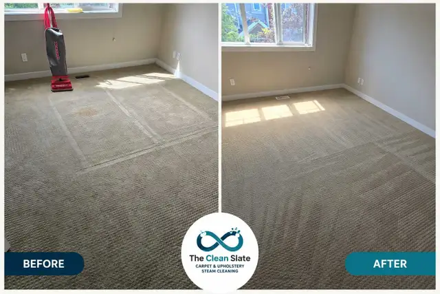 Professional Carpet, Sofa & Mattress Cleaning