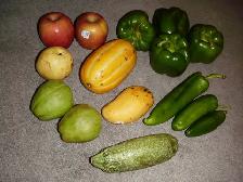 FREE PRODUCE.