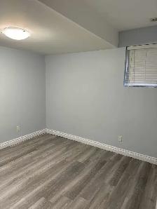 Basement - Photo 4