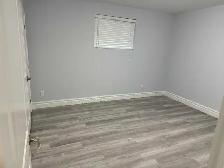 Basement - Photo 6