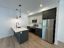 New Build 3 Bed 2 Bath Main Floor Duplex Unit For Rent