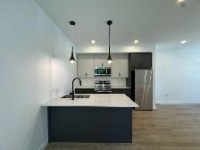 New Build 3 Bed 2 Bath Main Floor Duplex Unit For Rent - Photo 2