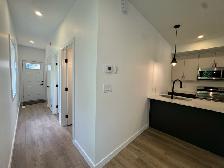 New Build 3 Bed 2 Bath Main Floor Duplex Unit For Rent - Photo 7