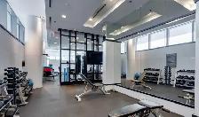 Toronto 1  Bedroom  1  Den For Lease Downtown TiFF Building - Photo 4