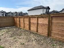 Full-Time Carpenter Wanted - Photo 2