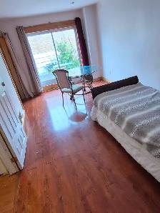 Davis/Yonge Large room for rent