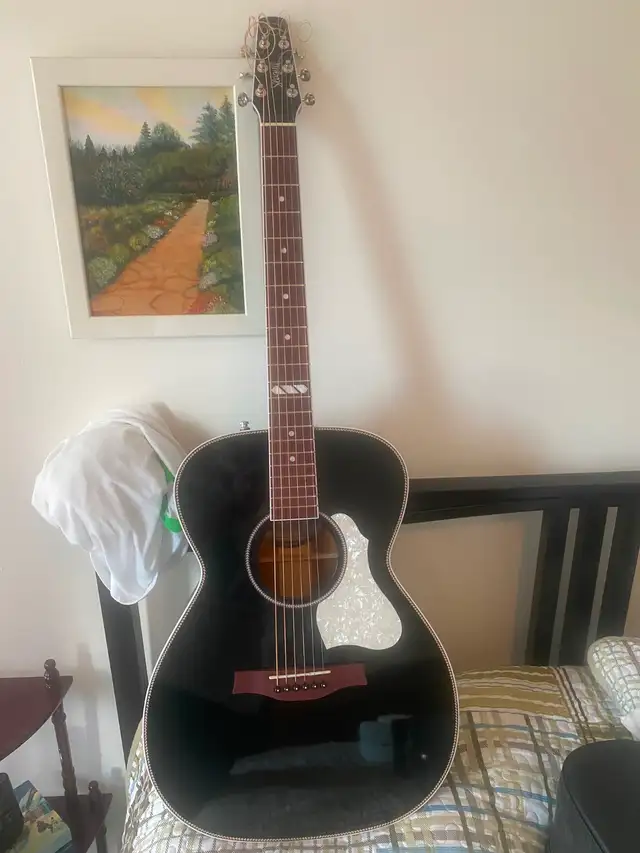 Guitare seagull Toxedo noir comme neuf