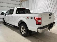 Ford F-150 XL cabine SuperCrew 4RM caisse de 5,5 pi 2020 à vendr - Photo 8