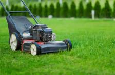 Lawn & Garden Care – Milton - Photo 3