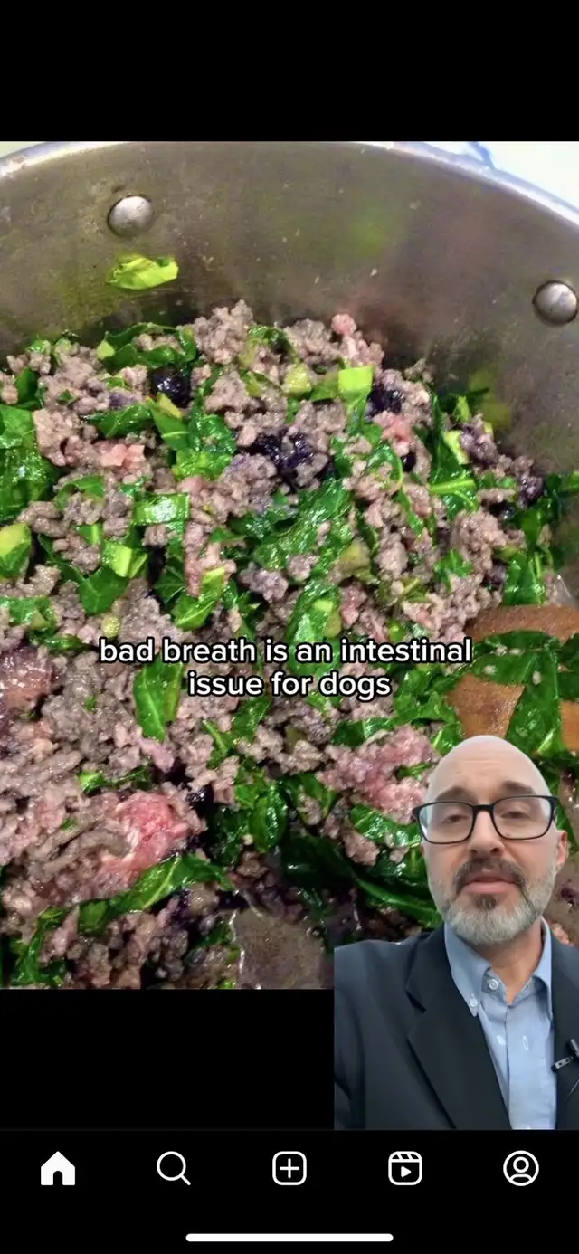 I need food