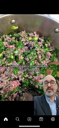 I need food