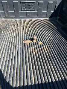2004 Chevrolet Silverado 2500HD LB7 Duramax READ AD FULLY - Photo 5