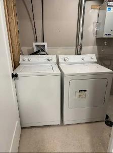 1 Bed 1 Bath - Apartment from August 01,2026 - Photo 7