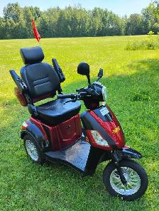 Triporteur FASTER T1 2025 - Photo 3