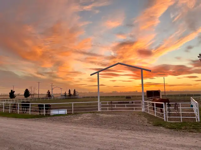Horse Boarding