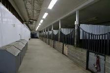 Horse Boarding - Photo 4
