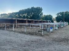 Horse Boarding - Photo 5