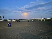 Horse Boarding - Photo 6