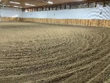 Horse Boarding - Photo 7