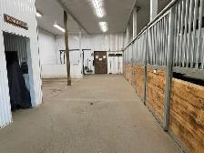 Horse Boarding - Photo 9