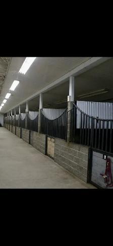 Horse Boarding - Photo 10