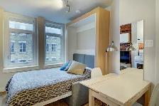 Loft entièrement meublé à louer Saint-Jean-Baptiste août 2026 - Photo 2