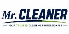 Professional Cleaners