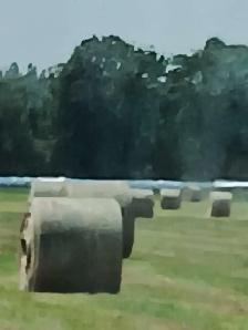 4x5 round bales