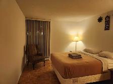 FURNISHED ONE BEDROOM APARTMENT AT YONGE AND SHEPPARD - Photo 11