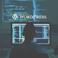 WORDPRESS WEBSITE DESIGN REDESIGN FOR ANY BUSINESS (416)273-0850
