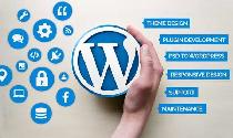 WORDPRESS WEBSITE DESIGN REDESIGN FOR ANY BUSINESS (416)273-0850 - Photo 2