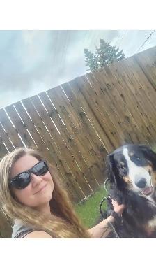 Pet Sitter/Dog Walker - Photo 2