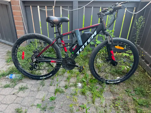 Totem performance bike