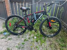 Totem performance bike