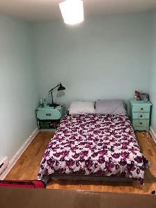 2 bedroom apartment available August 1 downtown Frederict - Photo 3