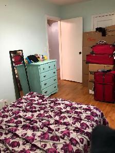 2 bedroom apartment available August 1 downtown Frederict - Photo 4