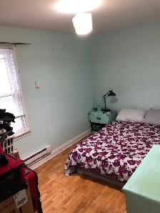 2 bedroom apartment available August 1 downtown Frederict - Photo 10
