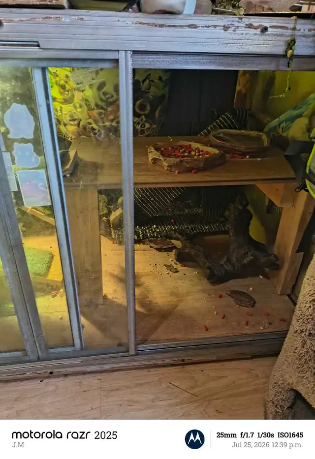 reptile tank