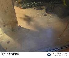 reptile tank - Photo 3
