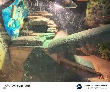 reptile tank - Photo 5