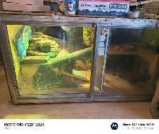 reptile tank - Photo 6
