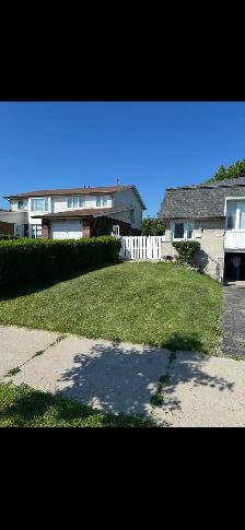 Budget Friendly Junk Removal Services!!!Same Day Pickup! - Photo 9